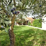 Villa Zvizda