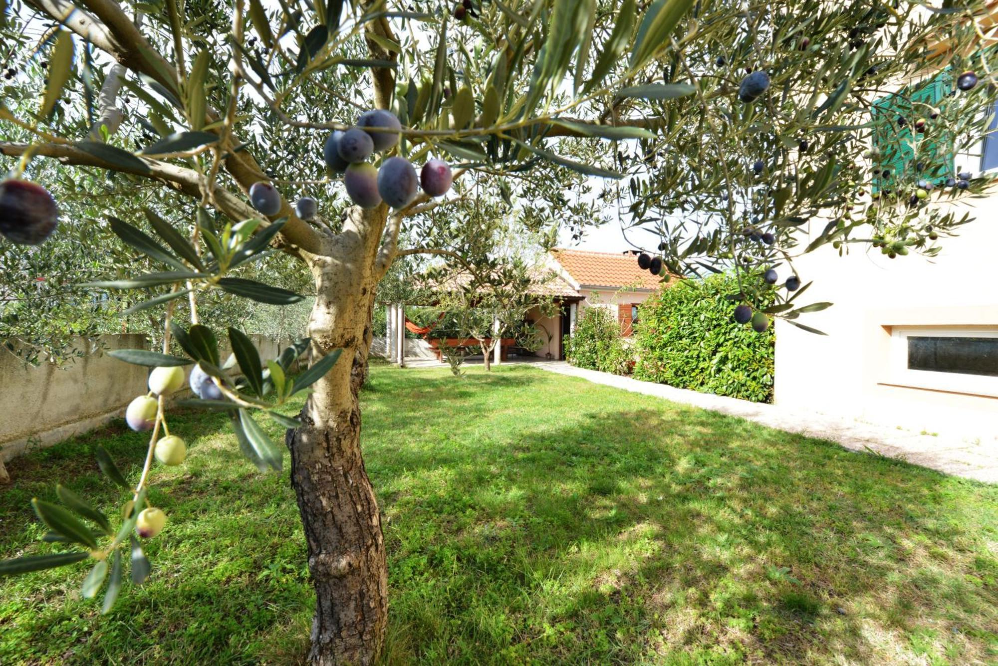 Vila Zvizda