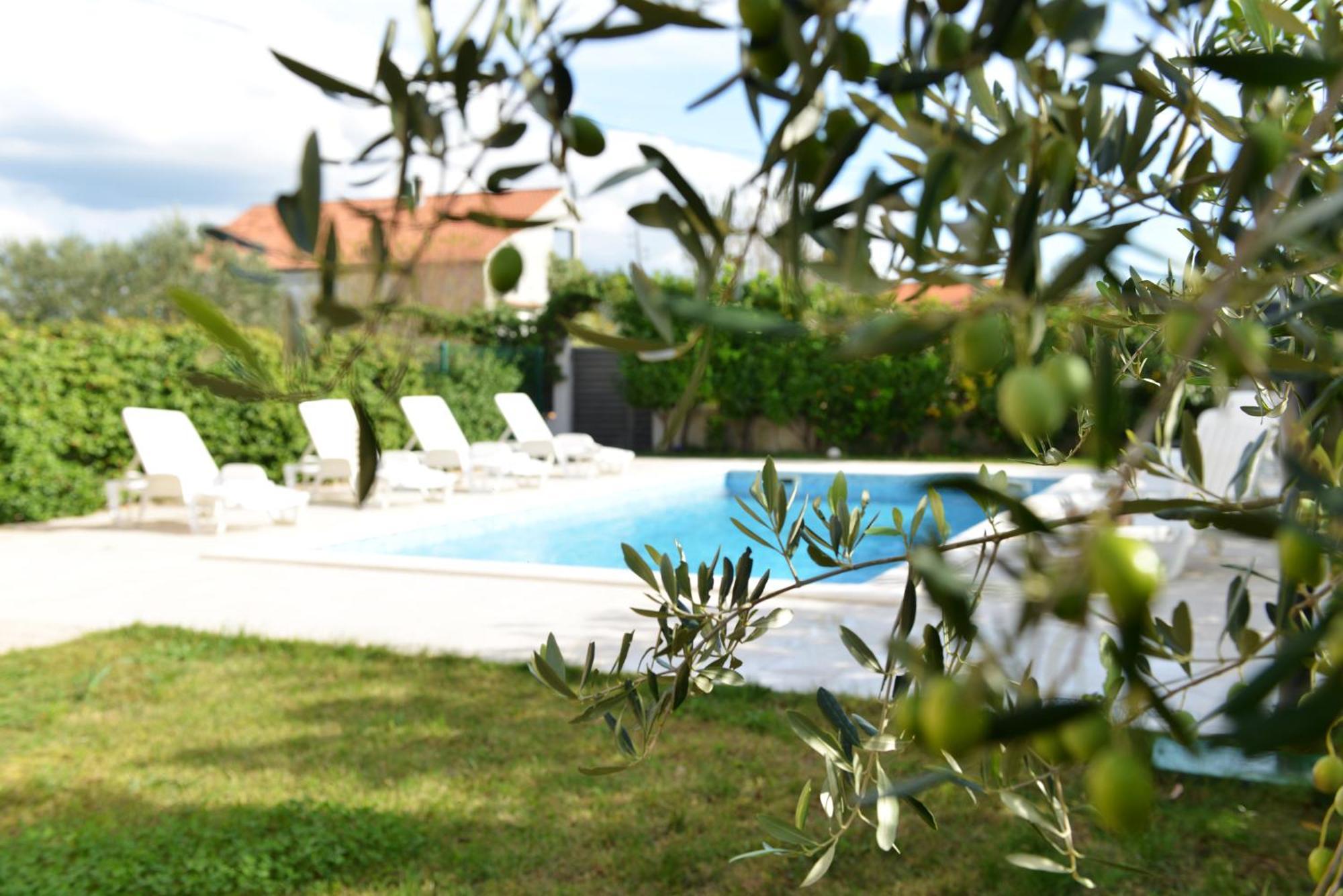 Zvizda Vila Zadar